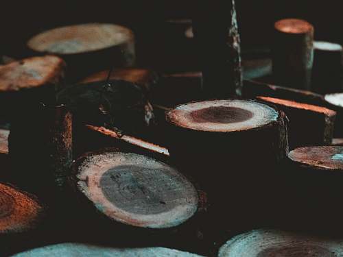 croatia brown tree log drum